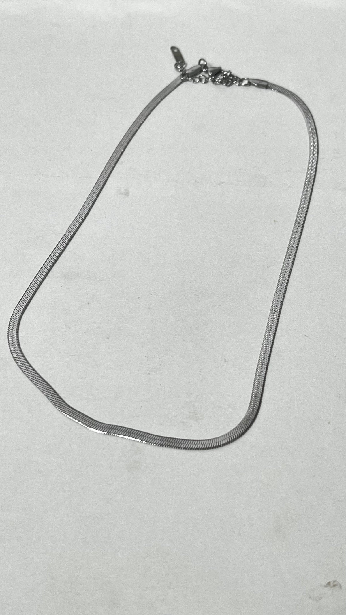Classic Snake Chain Silver Necklace